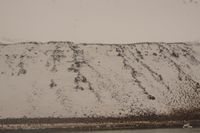
DSC00147